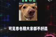 娱乐八卦听吃瓜,吃瓜群众热议的明星幕后故事